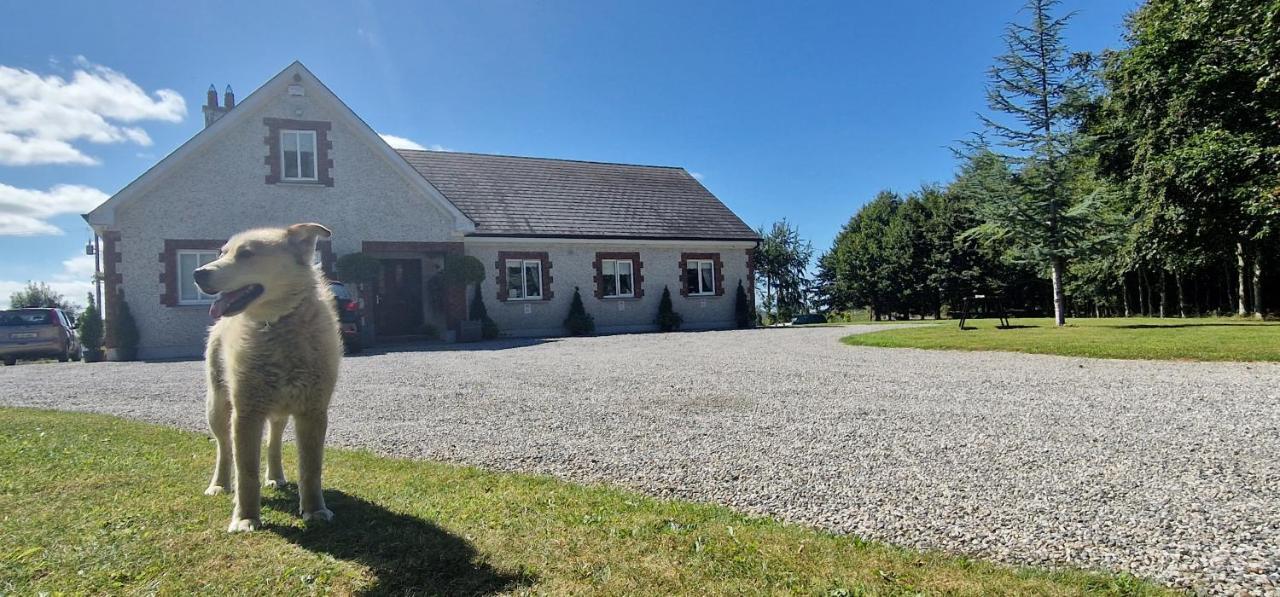 Littlefield B&B Durrow, Laois Екстер'єр фото